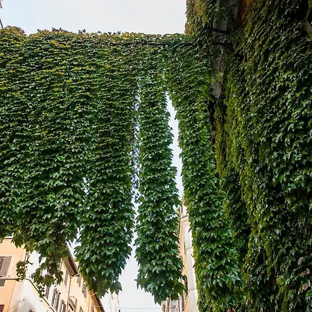 Daire Colosseum/panisperna Nina With Terrace